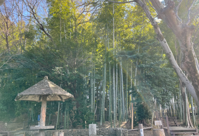 tsusen_1