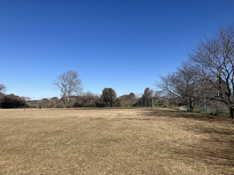 Viber_画像_2026-02-19_17-17-54-113