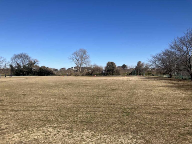 Viber_画像_2026-02-19_17-17-54-413