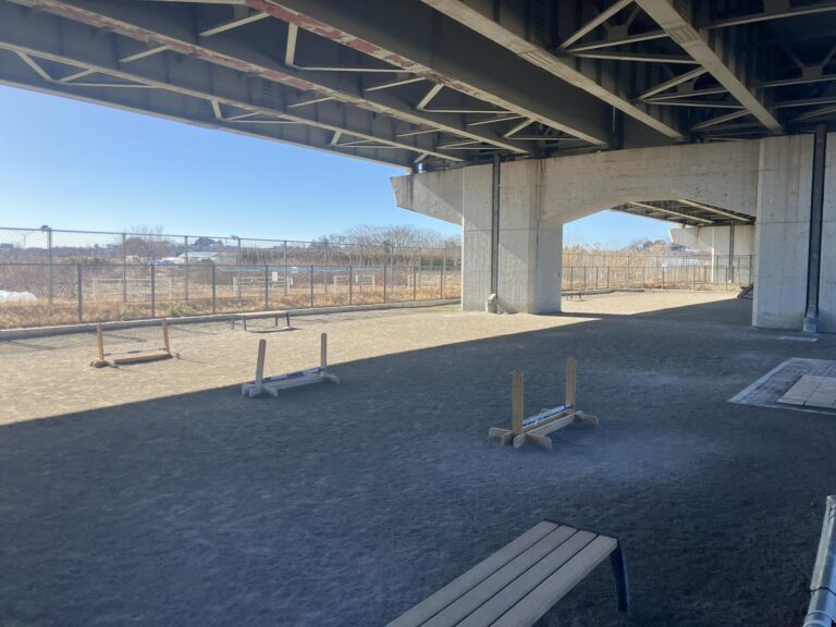 Viber_画像_2026-02-19_17-15-01-752