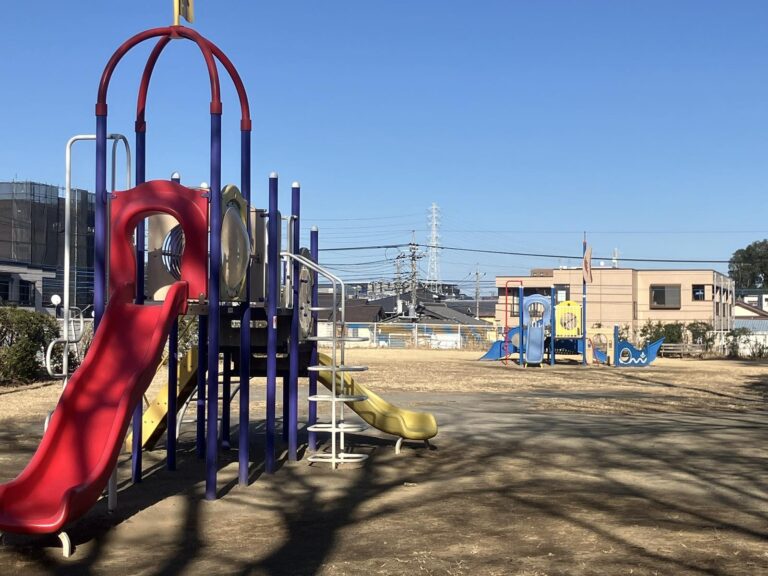 Viber_画像_2026-02-19_17-19-30-184