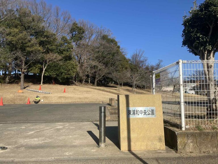 Viber_画像_2026-02-19_17-19-30-825