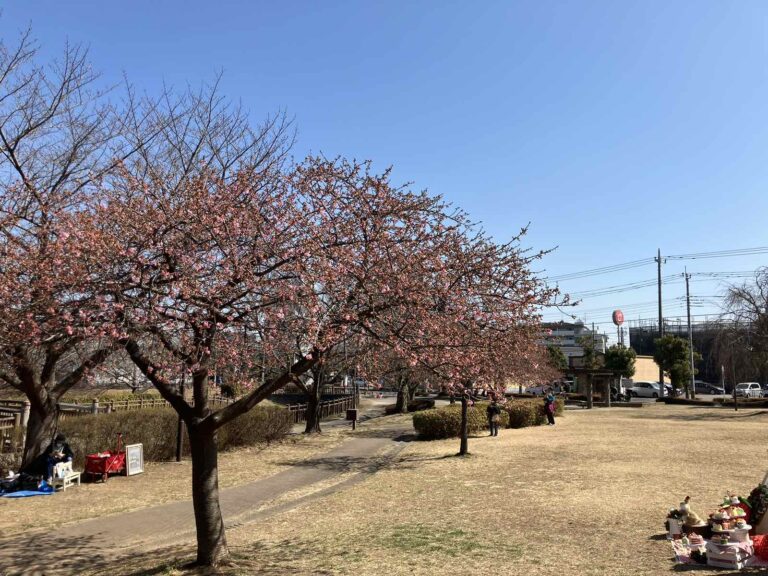 Viber_画像_2026-02-15_07-41-09-632