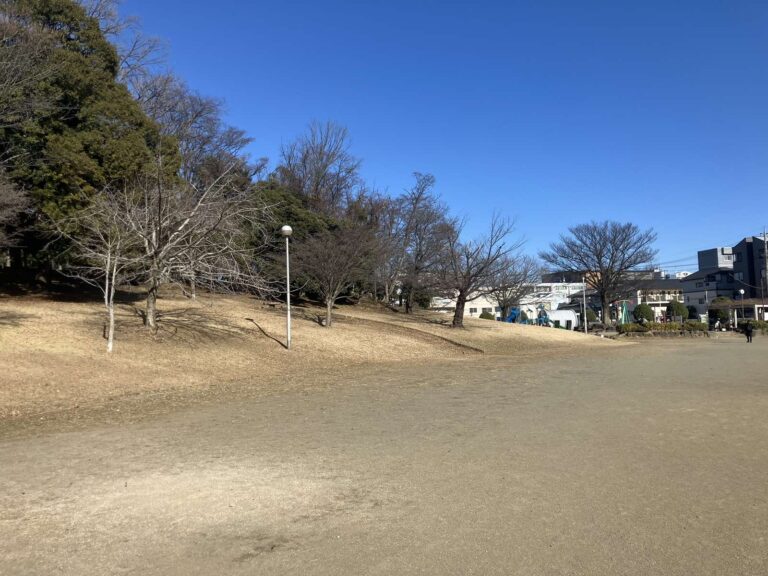 Viber_画像_2026-02-19_17-19-31-148