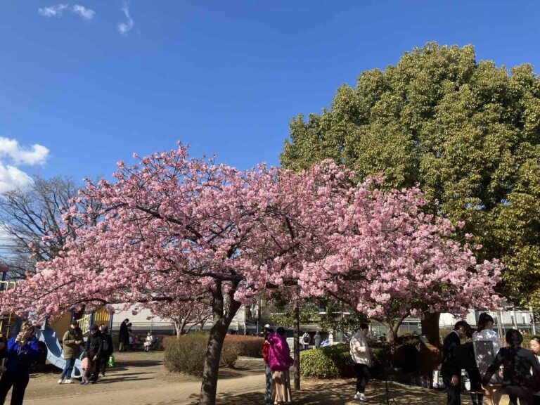 Viber_画像_2026-02-15_07-40-50-580