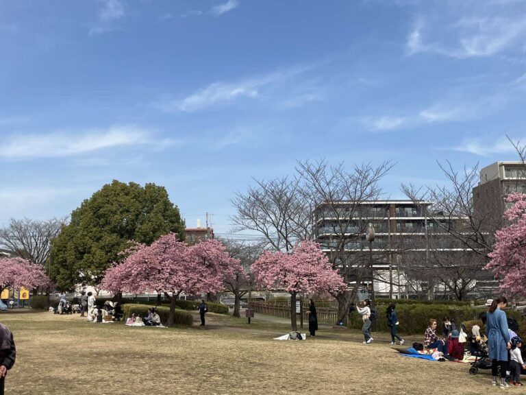 Viber_画像_2026-02-15_07-40-25-718