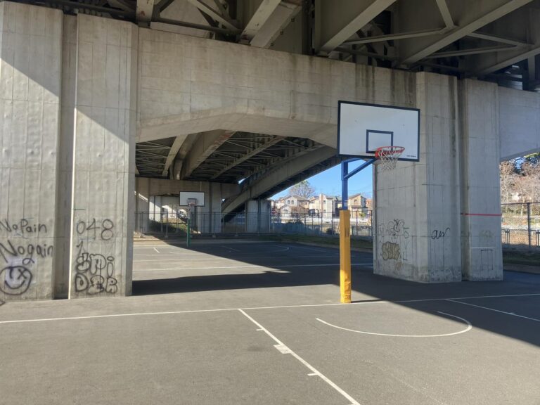 Viber_画像_2026-02-19_17-15-01-162